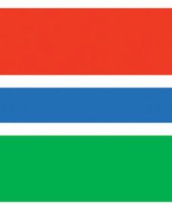 Gambia 4'x6' Nylon Flag
