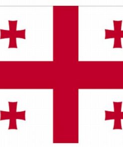 Georgia Republic 4'x6' Nylon Flag