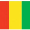 Guinea 5'x8' Nylon Flag