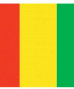 Guinea 5'x8' Nylon Flag
