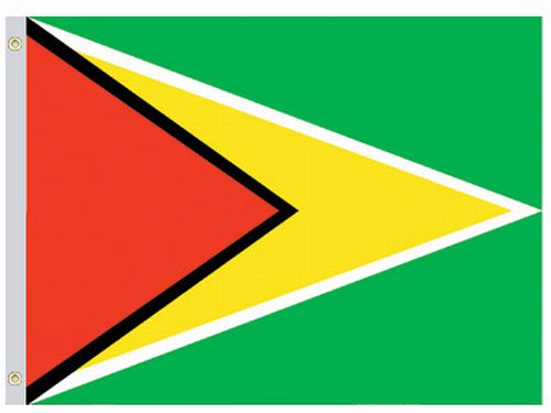 Guyana 2'x3' Nylon Flag