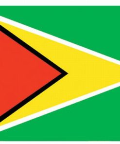 Guyana 3'x5' Nylon Flag