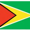 Guyana 4'x6' Nylon Flag