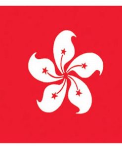 Hong Kong 2'x3' Nylon Flag
