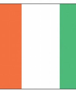 Ivory Coast 3'x5' Nylon Flag