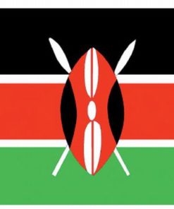 Kenya 2'x3' Nylon Flag