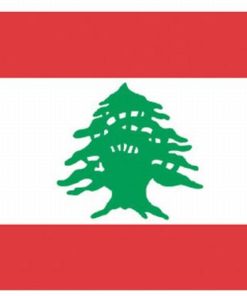 Lebanon 4'x6' Nylon Flag