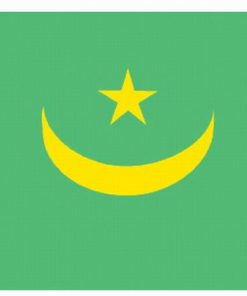 Mauritania 5'x8' Nylon Flag