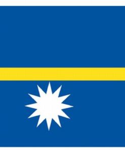 Nauru 4'x6' Nylon Flag