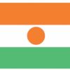 Niger 3'x5' Nylon Flag