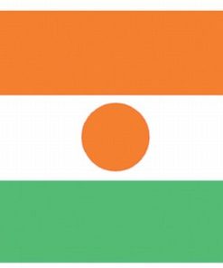 Niger 5'x8' Nylon Flag