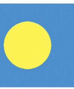 Palau 4'x6' Nylon Flag