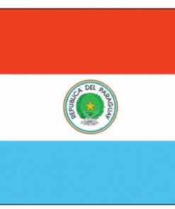 Paraguay 2'x3' Nylon Flag
