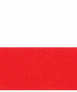Poland 5'x8' Nylon Flag