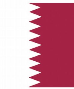 Qatar 4'x6' Nylon Flag