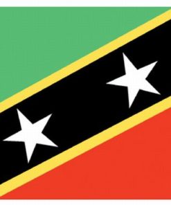 St. Kitts-Nevis 2'x3' Nylon Flag
