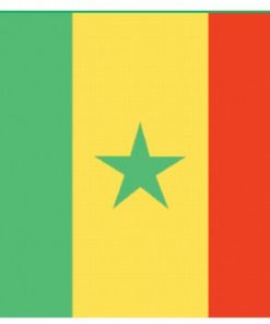 Senegal 3'x5' Nylon Flag