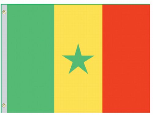 Senegal 5'x8' Nylon Flag