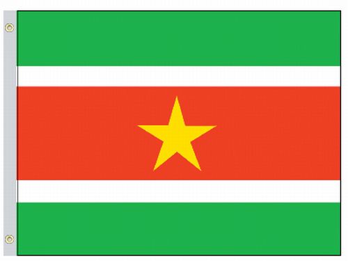 Suriname 2'x3' Nylon Flag