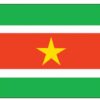 Suriname 4'x6' Nylon Flag