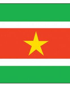 Suriname 4'x6' Nylon Flag