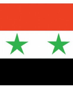 Syria 2'x3' Nylon Flag