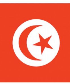 Tunisia 2'x3' Nylon Flag