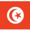 Tunisia 3'x5' Nylon Flag