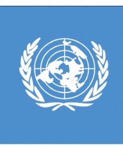 United Nations 3'x5' Nylon Flag