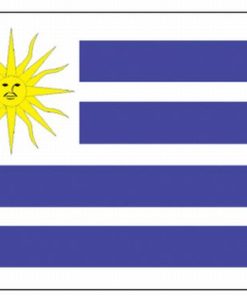 Uruguay 2'x3' Nylon Flag