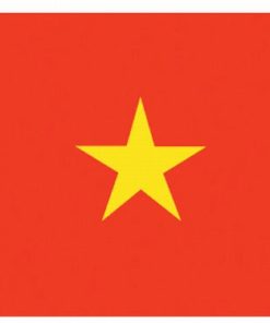 Vietnam 5'x8' Nylon Flag