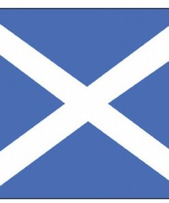 Scotland St. Andrew 2'x3' Nylon Flag