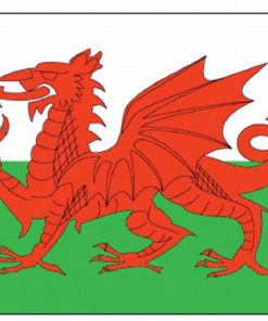 Wales 3'x5' Nylon Flag