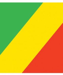 Congo Republic 4"x6" Stick Flag