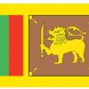 Sri Lanka 4"x6" Stick Flag