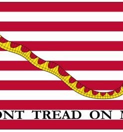 Printed Gadsden G Spec Navy Don't Tread on Me Nylon Flag (Don't Tread on Me) measures 6.8'x5.8' and is a size 5