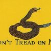 3ft x 5ft Historical Gadsden Nylon Flag