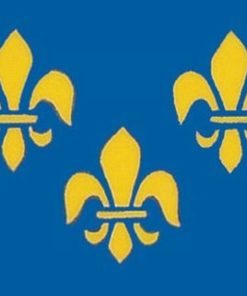3'x5' Printed Nyl. Fleur De Lis Flag