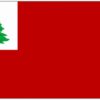 2x3' New England Continental Flag Historical Nylon Flag