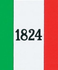 3'x5' Printed Nyl. Alamo Flag