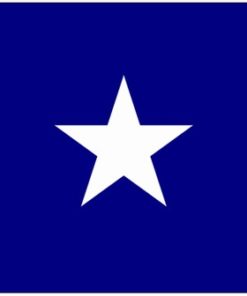 3'x5' Printed Nyl. Bonnie Blue Flag