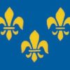 4"x6" Rayon French Fleur De Lis Stick Flag