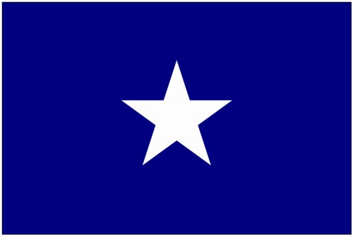 4"x6" Rayon Bonnie Blue Stick Flag