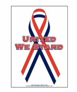 2 1/4'x 3 1/4' Polyester United We Stand Flag