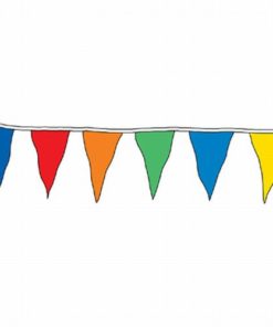 30' Multi-Color Poly Pennant String