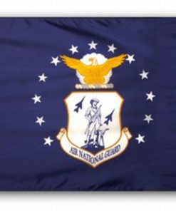 Air National Guard 3'x5' Nylon Flag