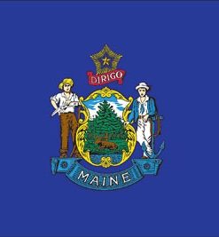 Maine 10'x15' Nylon Flag