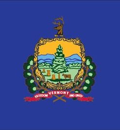 Vermont 10'x15' Nylon Flag