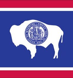 Wyoming 10'x15' Nylon Flag