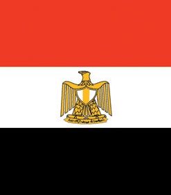Egypt 6'x10' Nylon Flag